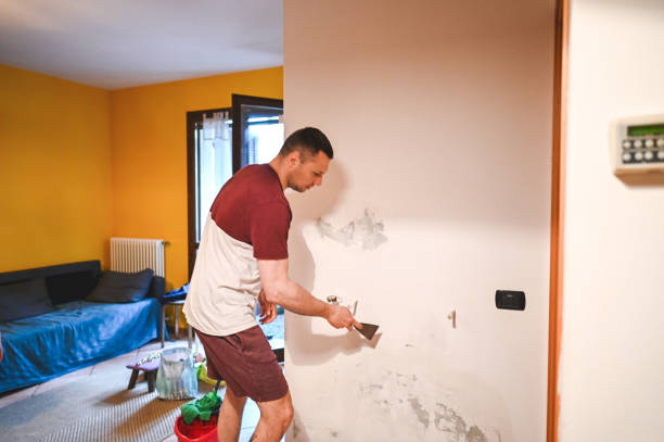 Mold Removal and Inspection in Opelika, AL